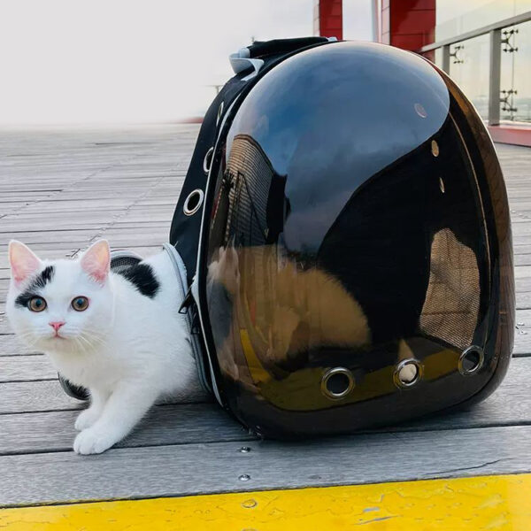 Cat carrier portable backpack